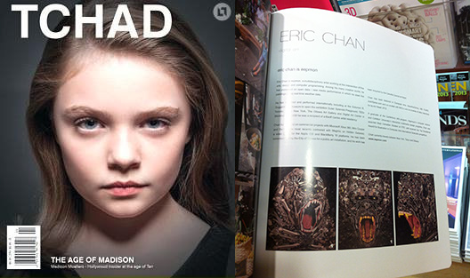 TCHAD Magazine 2013 eepmon